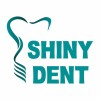 Shiny Dent