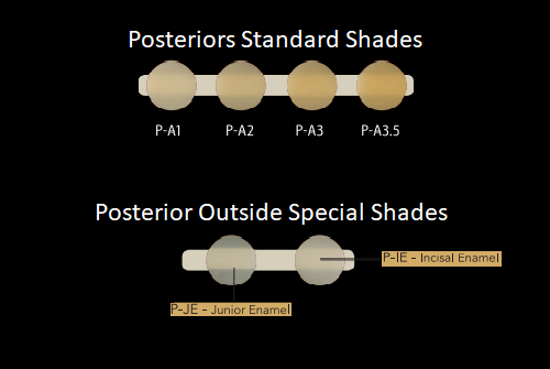 posterior geanial shade.png